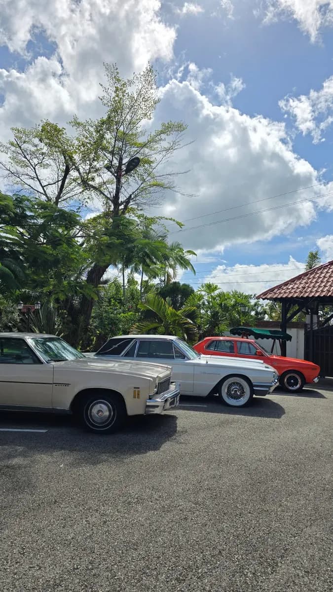 Voitures classiques colorées dans une rue tropicale